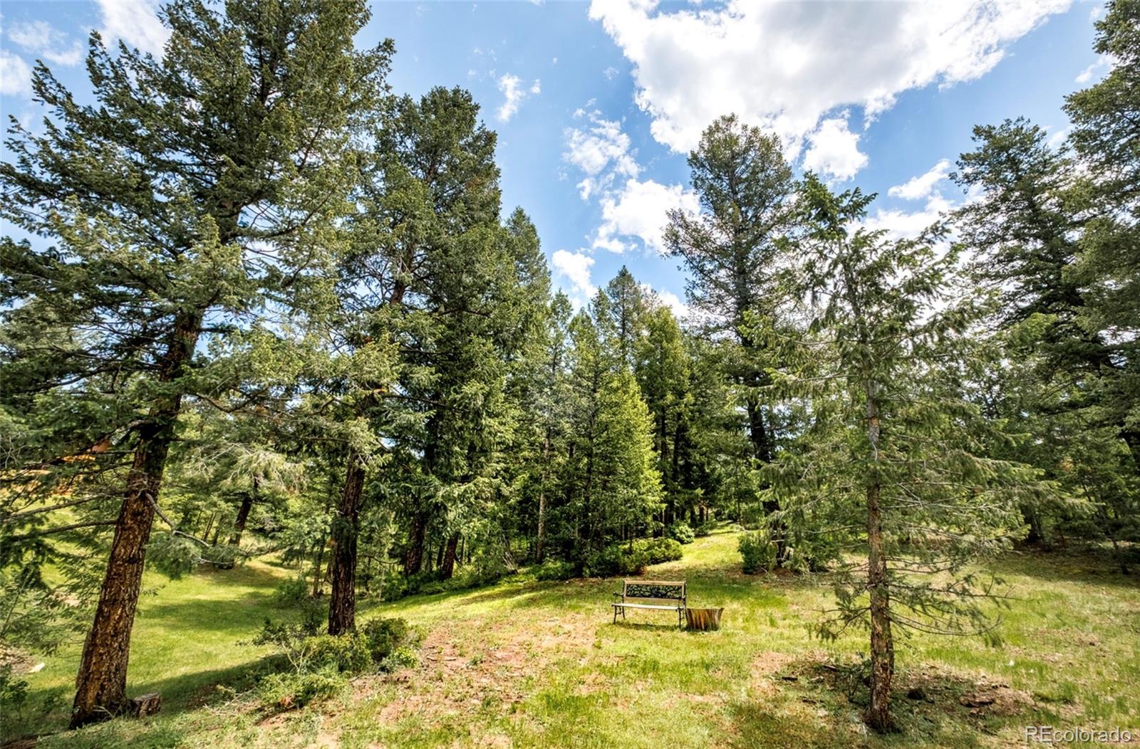 MLS Image #47 for 6608  kiem road,evergreen, Colorado