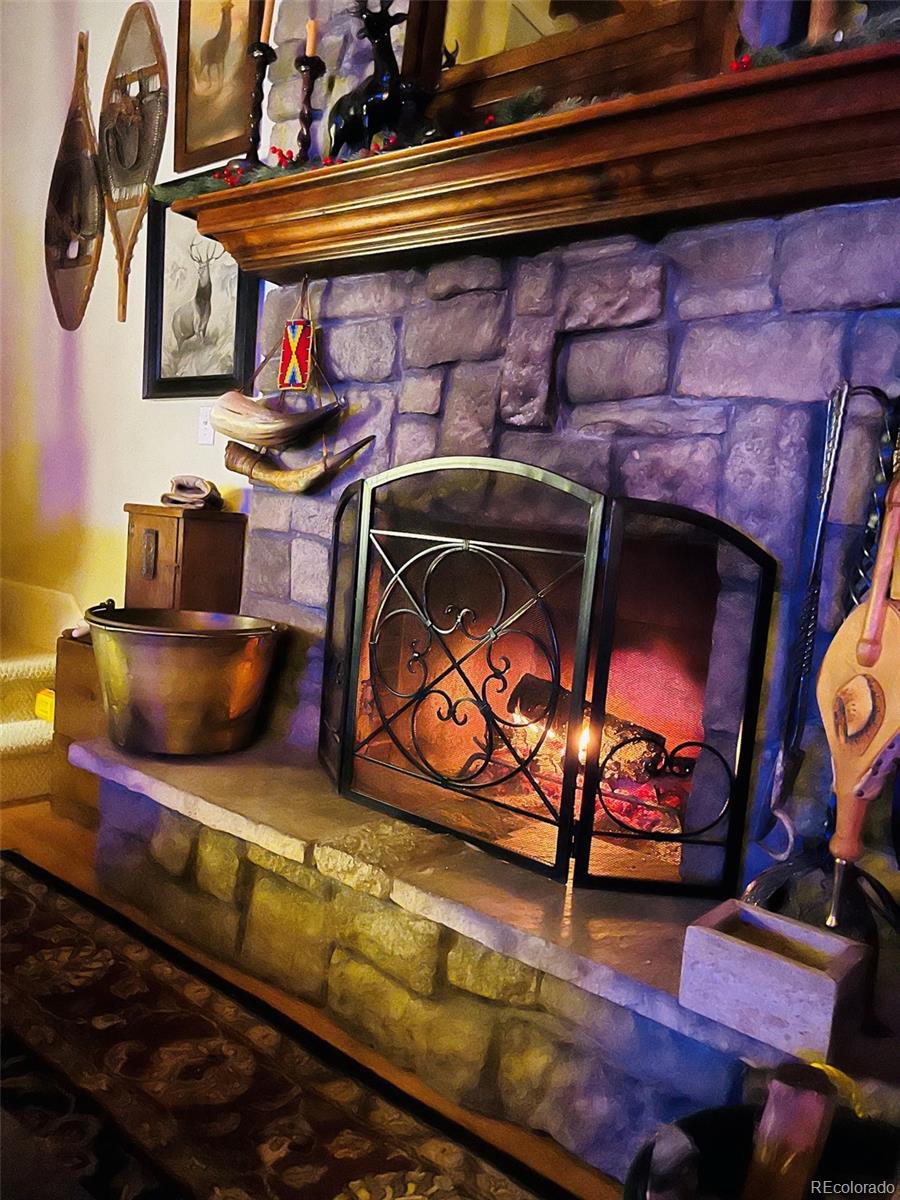 MLS Image #14 for 9128  krashin drive,conifer, Colorado