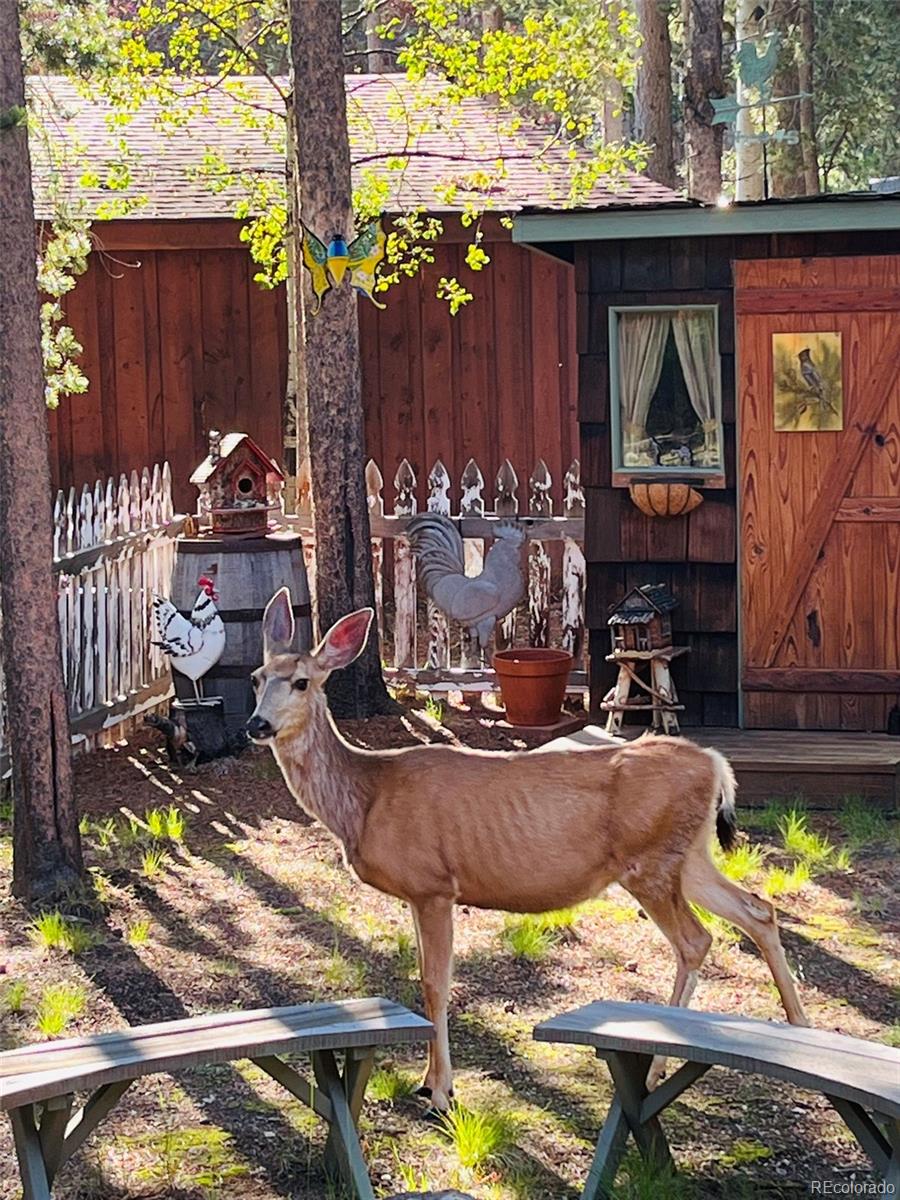 MLS Image #40 for 9128  krashin drive,conifer, Colorado