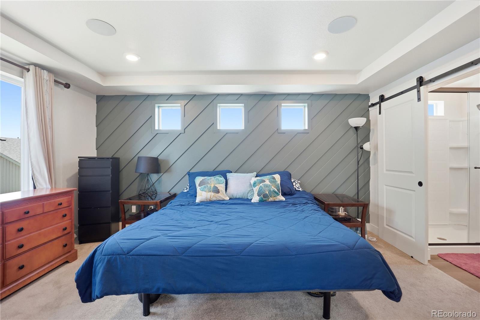 MLS Image #24 for 10222  wheeling street,commerce city, Colorado