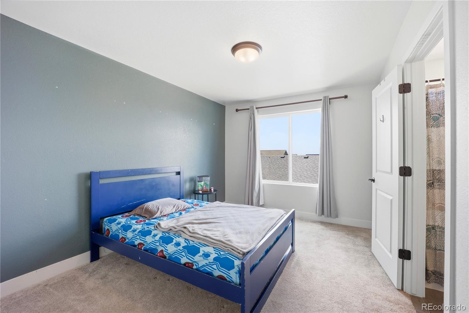 MLS Image #26 for 10222  wheeling street,commerce city, Colorado