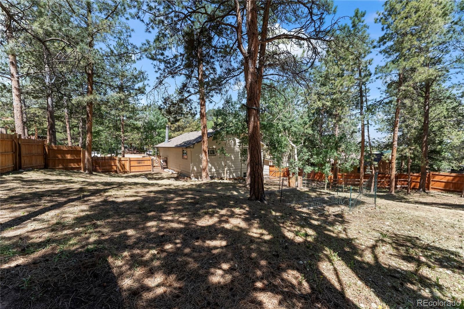 MLS Image #42 for 417  coraline street,woodland park, Colorado
