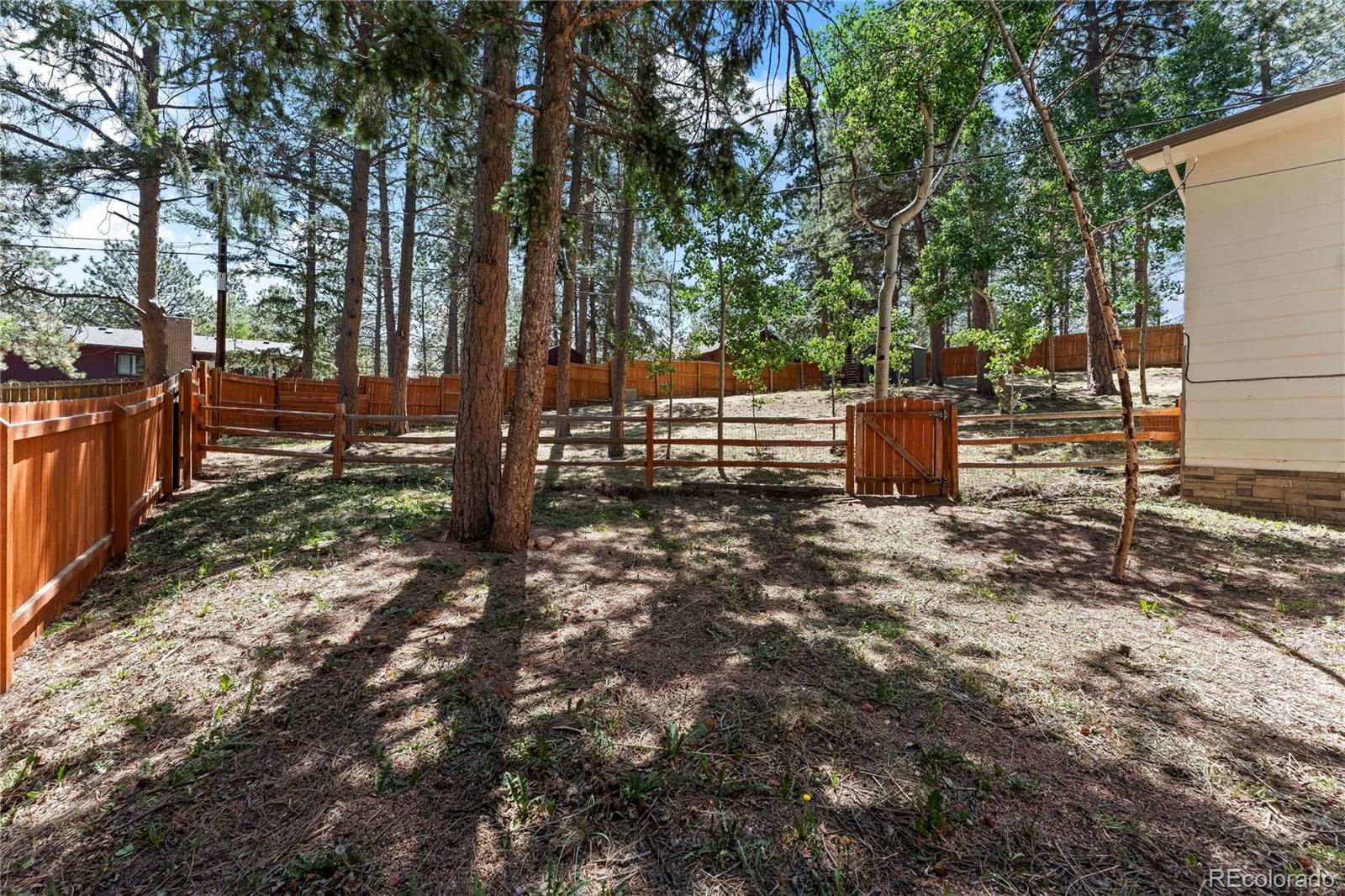 MLS Image #44 for 417  coraline street,woodland park, Colorado