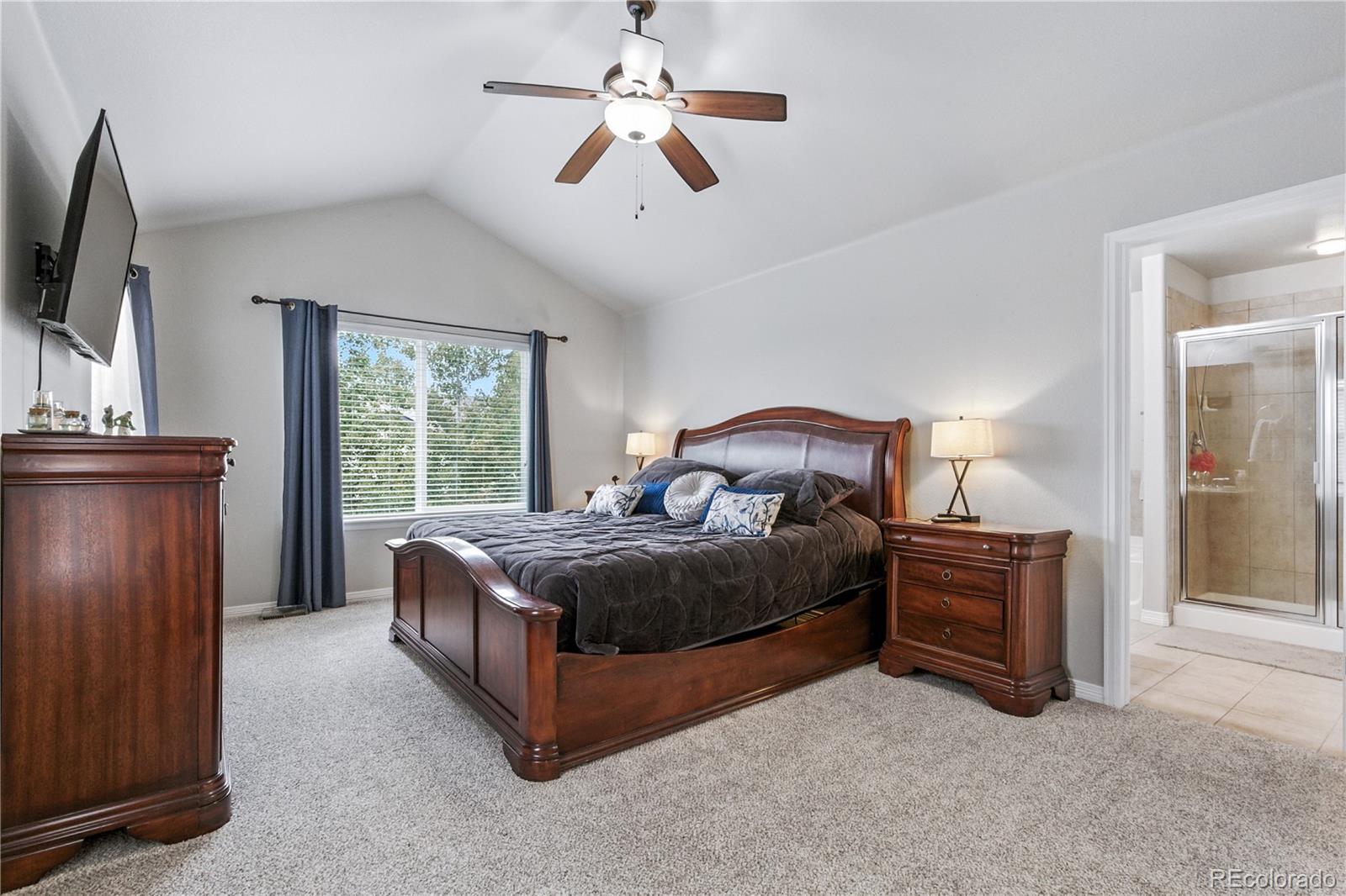 MLS Image #18 for 15910  savory circle,parker, Colorado