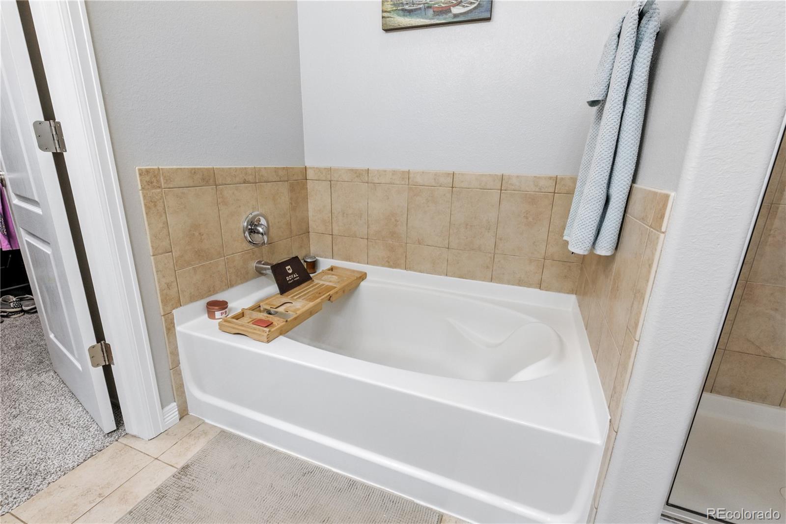 MLS Image #22 for 15910  savory circle,parker, Colorado