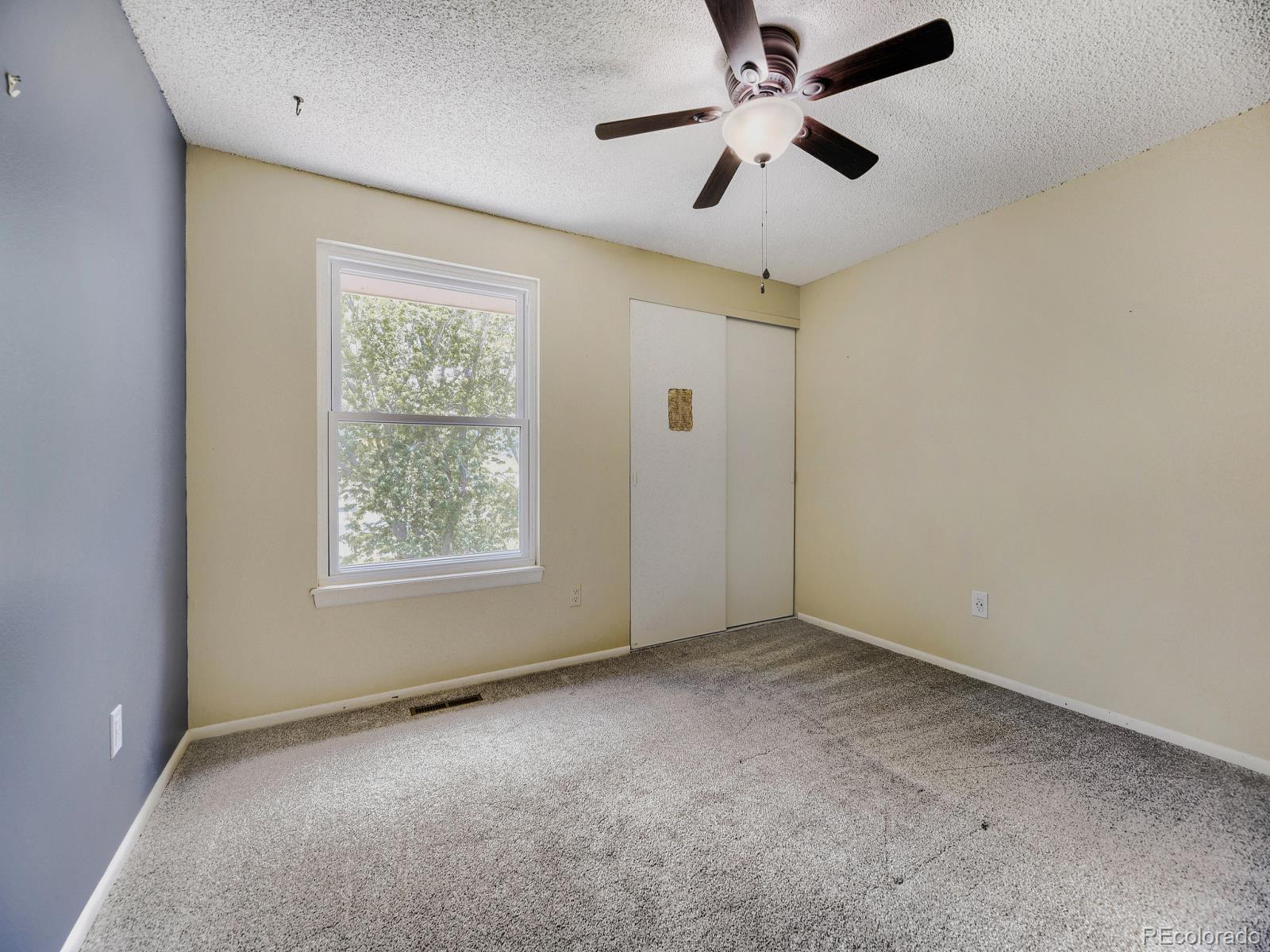 MLS Image #22 for 11892  elk head range road,littleton, Colorado