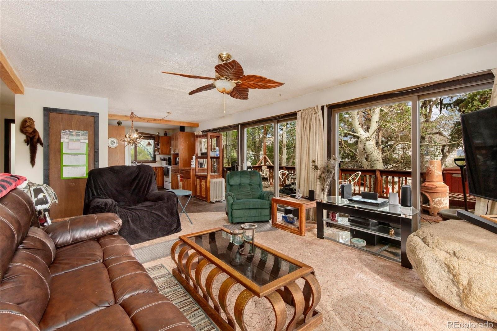 MLS Image #22 for 519  cedar street,buena vista, Colorado