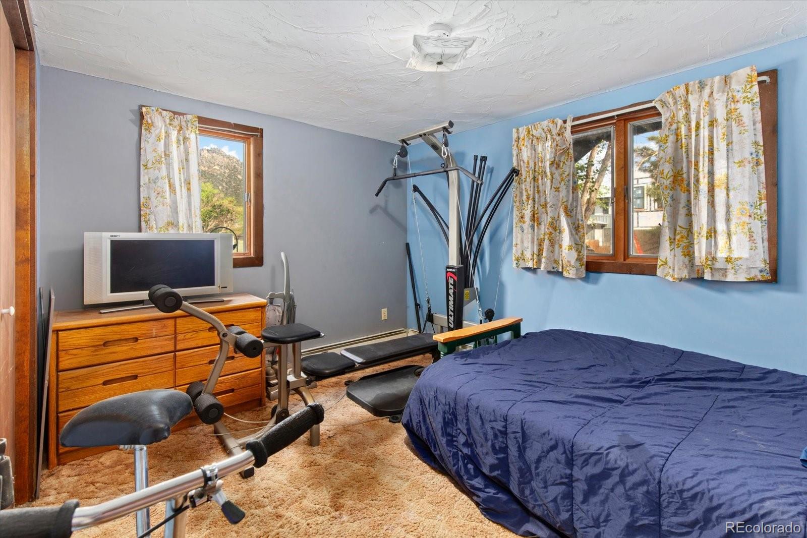 MLS Image #7 for 519  cedar street,buena vista, Colorado