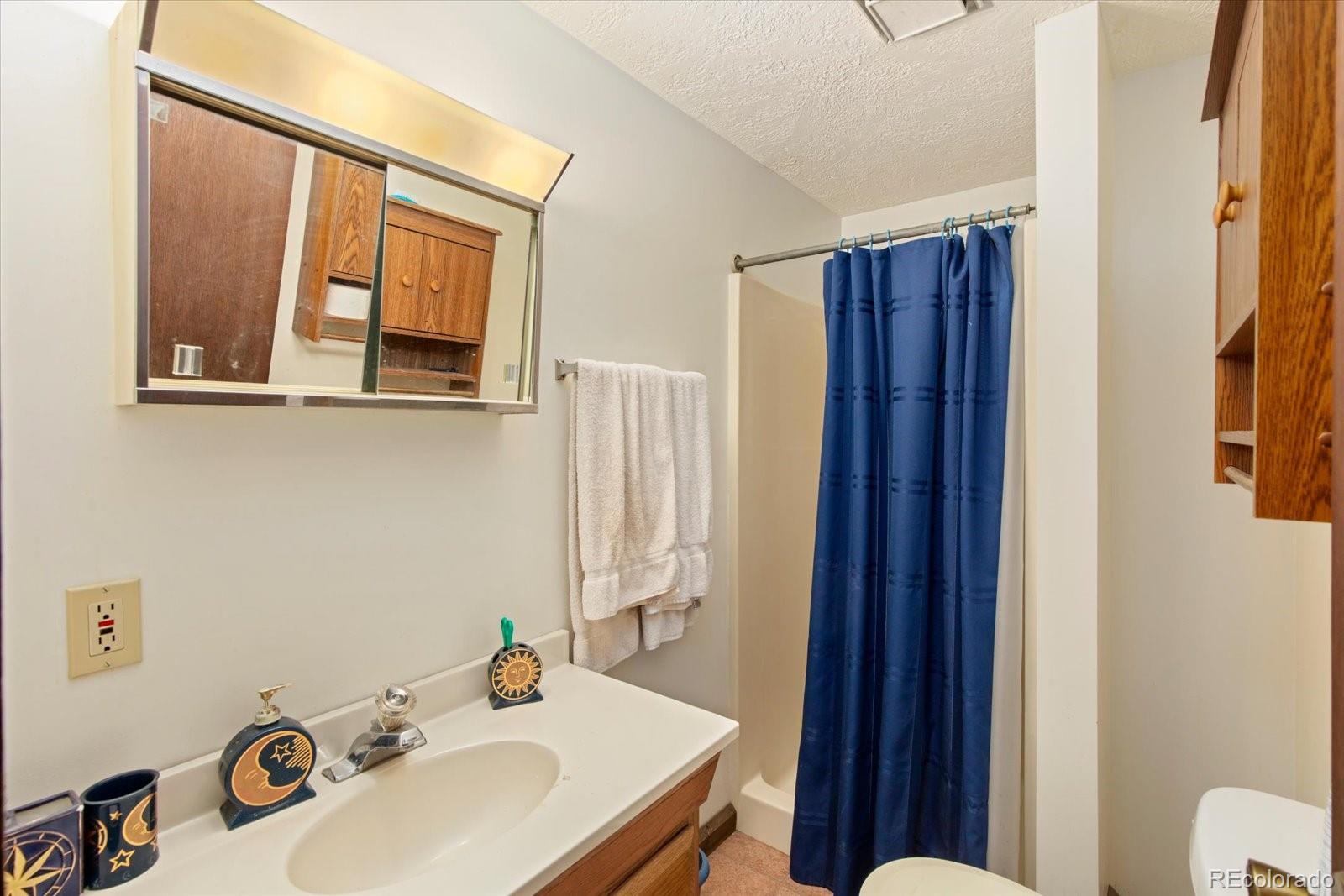 MLS Image #8 for 519  cedar street,buena vista, Colorado