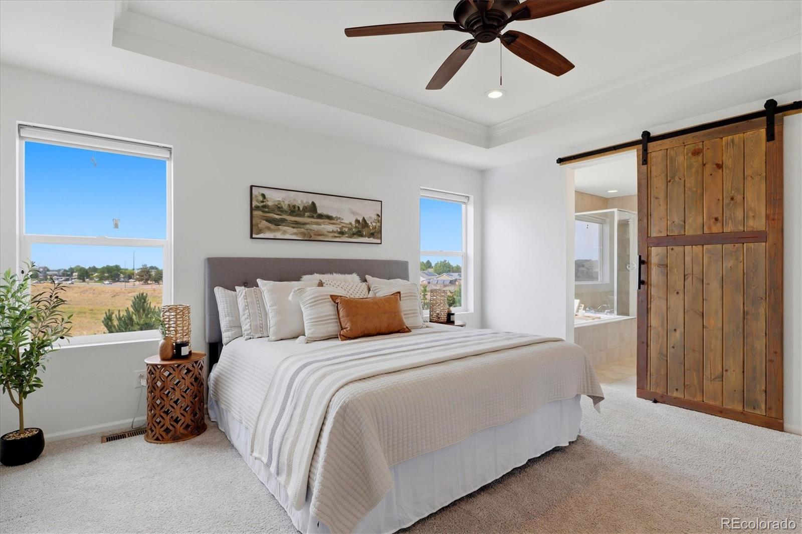 MLS Image #2 for 4777  jasper street,denver, Colorado