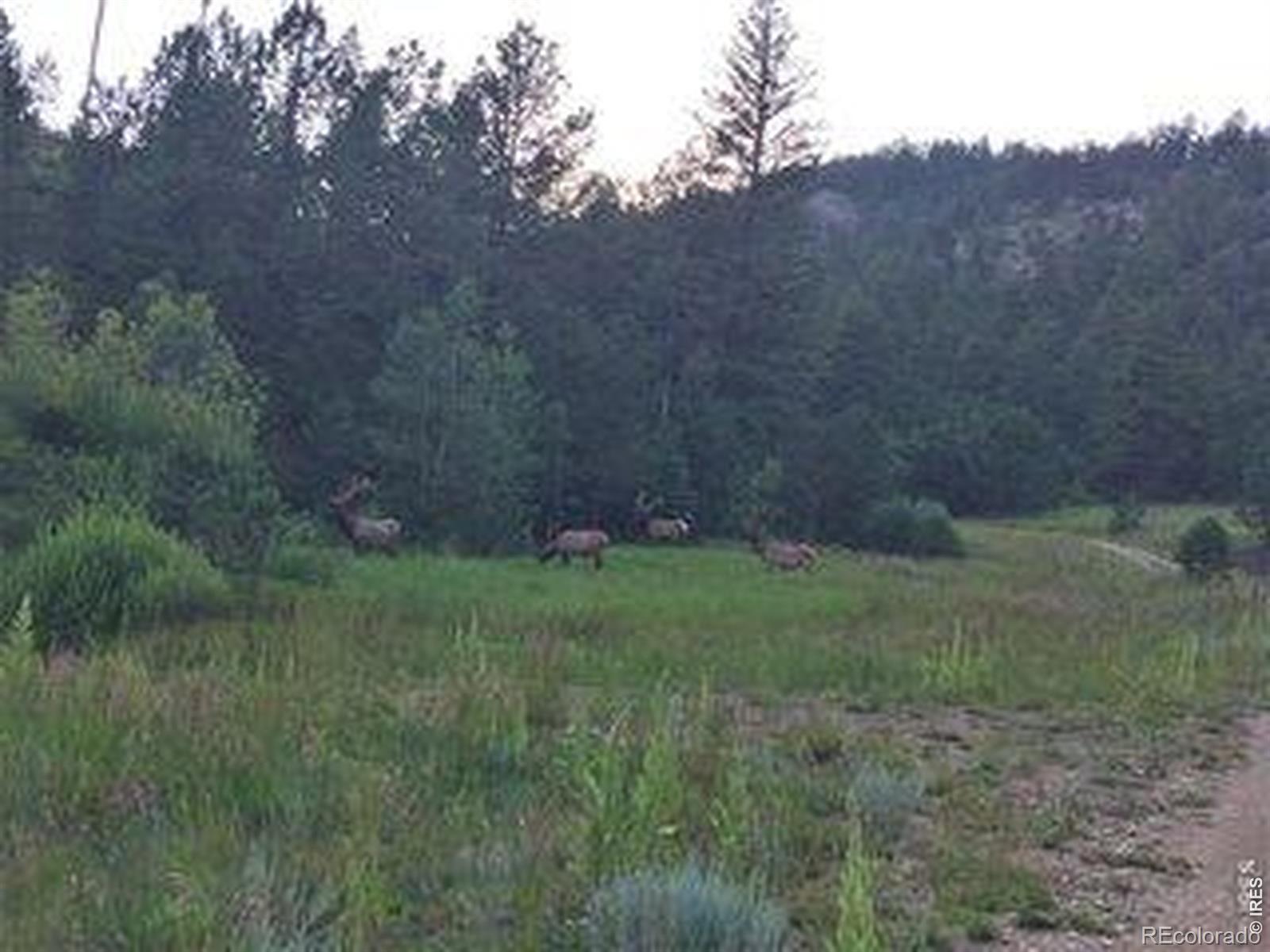 MLS Image #10 for 5878  pole hill road,loveland, Colorado