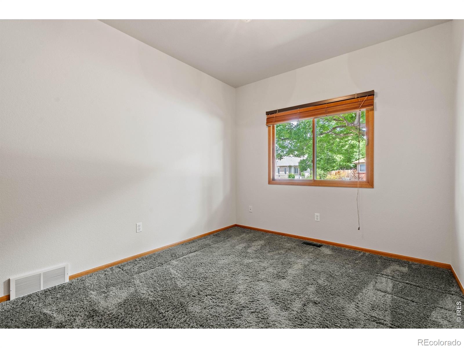MLS Image #14 for 1051  milner avenue,loveland, Colorado
