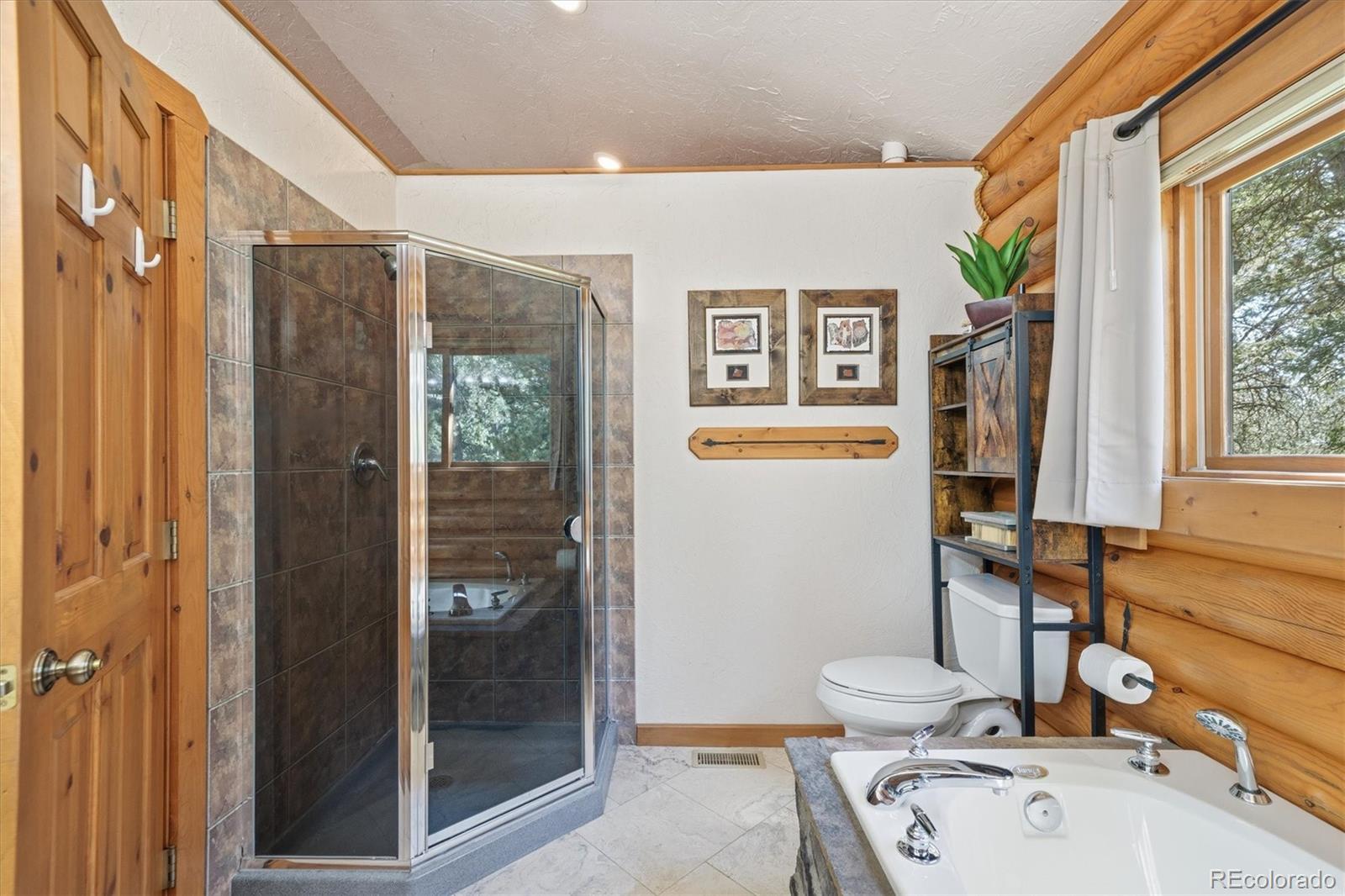MLS Image #19 for 21466  indian springs road,conifer, Colorado