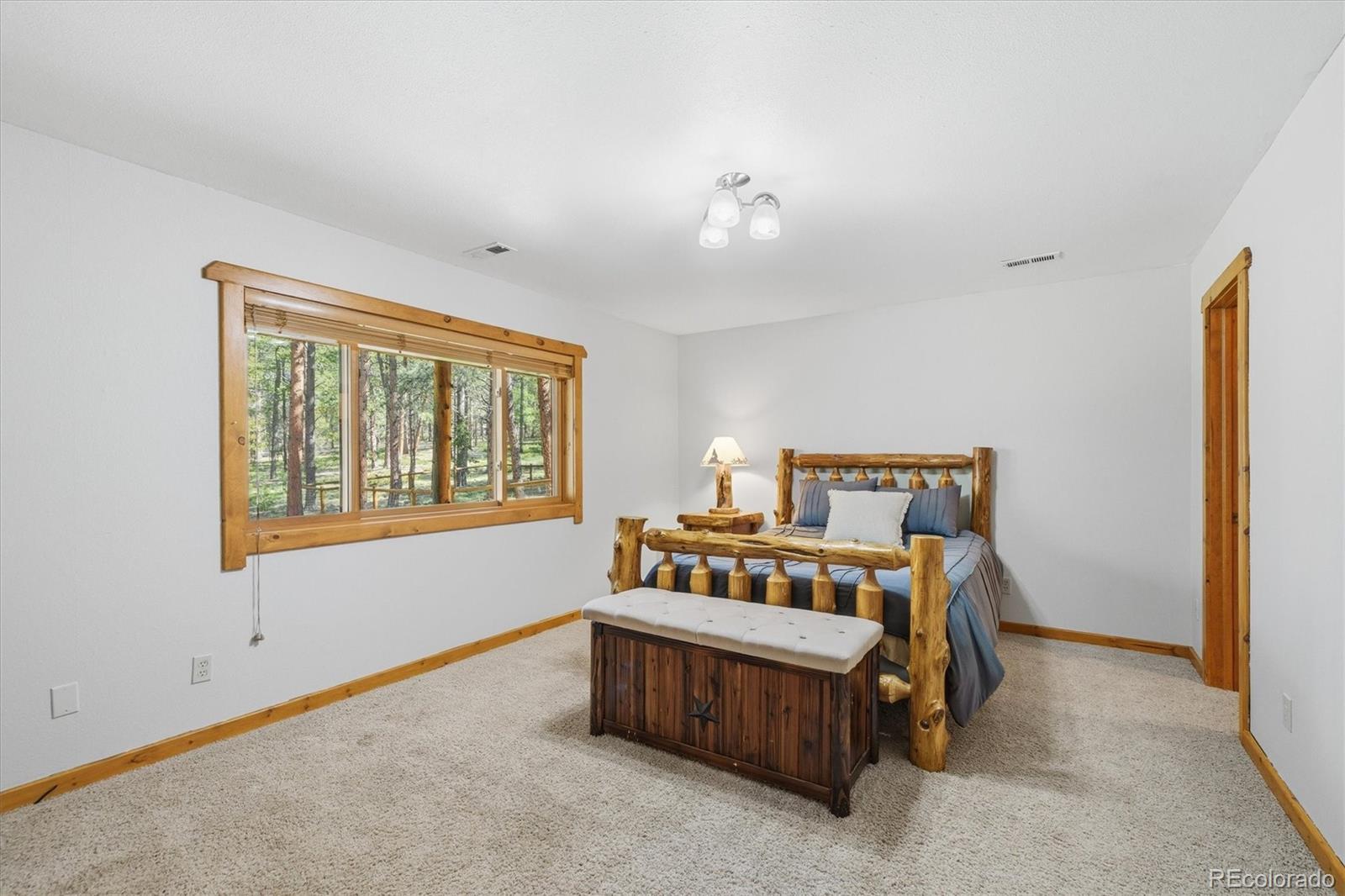 MLS Image #28 for 21466  indian springs road,conifer, Colorado