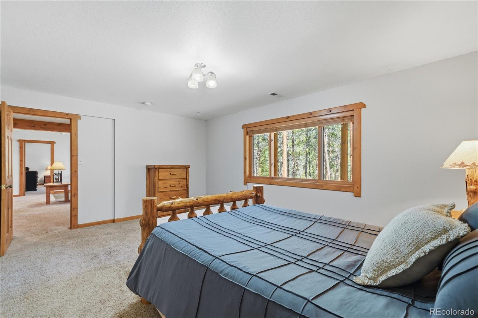 MLS Image #29 for 21466  indian springs road,conifer, Colorado