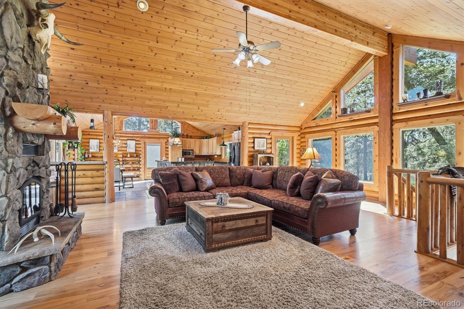 MLS Image #6 for 21466  indian springs road,conifer, Colorado