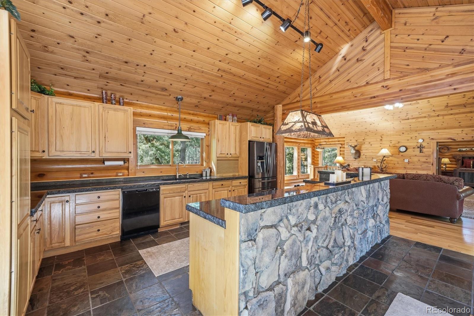 MLS Image #8 for 21466  indian springs road,conifer, Colorado