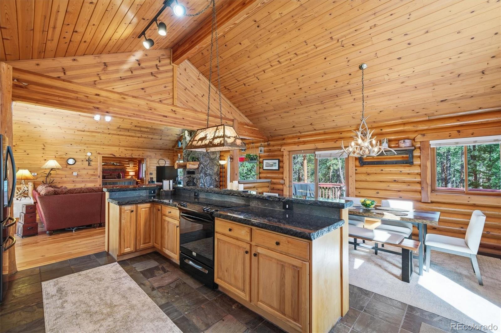 MLS Image #9 for 21466  indian springs road,conifer, Colorado