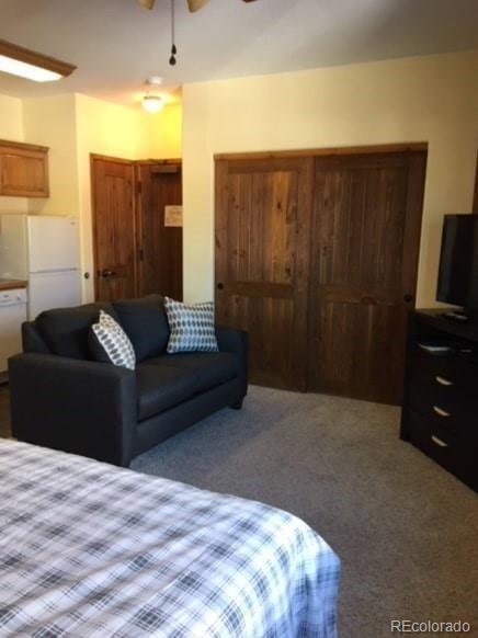 MLS Image #11 for 655  four oclock road 204,breckenridge, Colorado