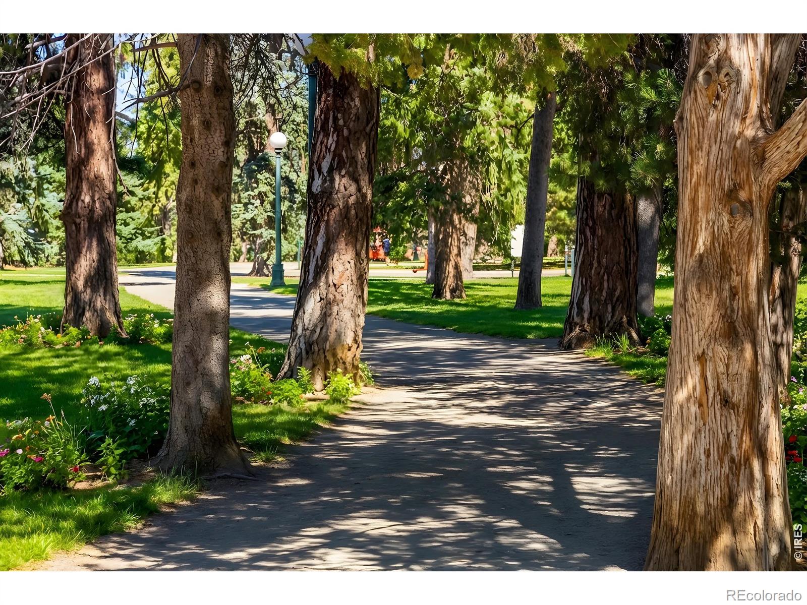 MLS Image #23 for 1332 n williams street,denver, Colorado