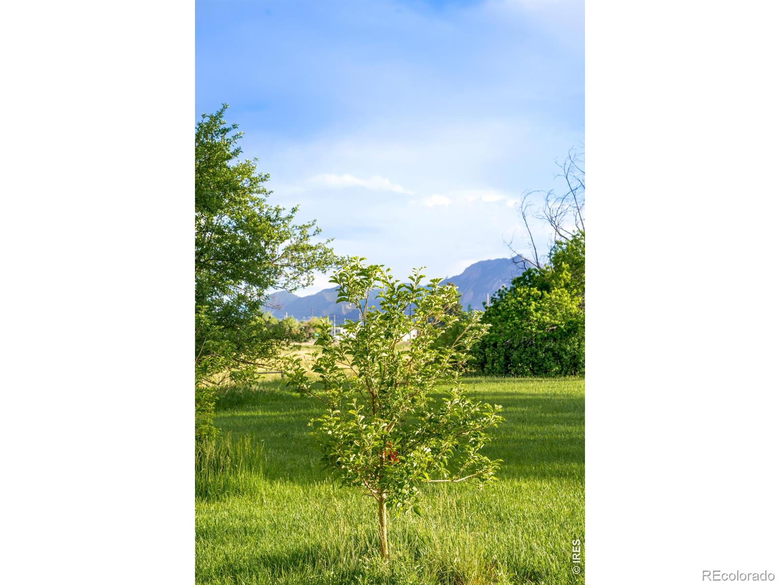 MLS Image #29 for 4410 n 51st street,boulder, Colorado