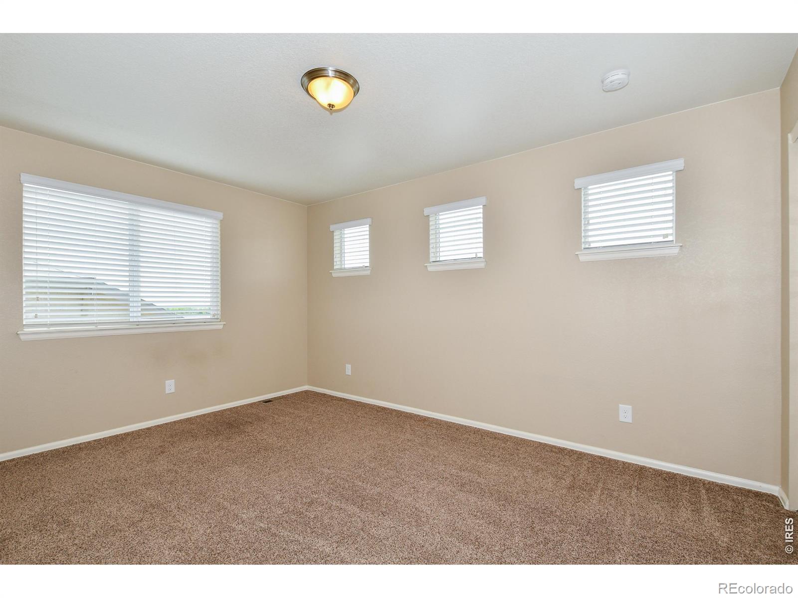MLS Image #31 for 2157  longfin drive,windsor, Colorado
