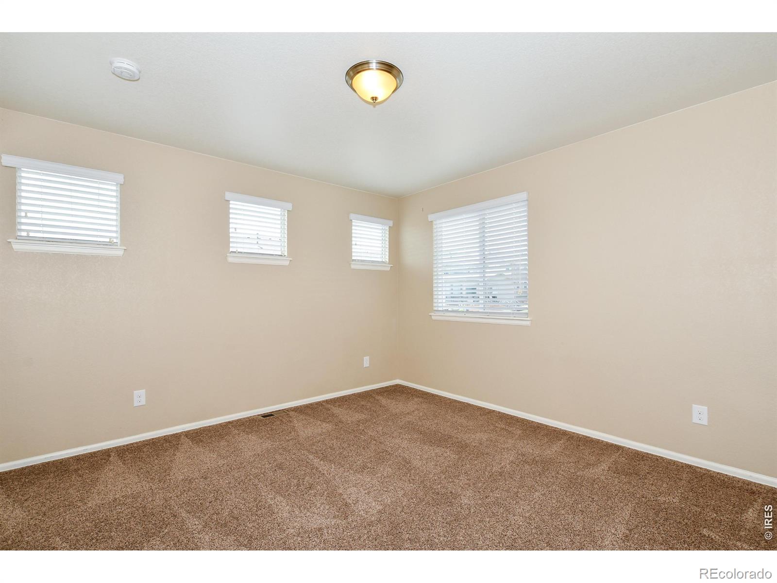 MLS Image #36 for 2157  longfin drive,windsor, Colorado