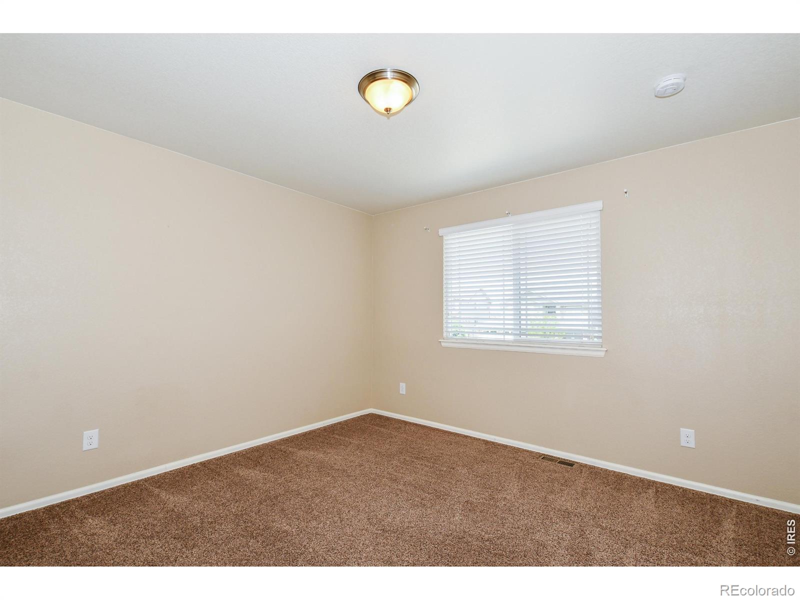 MLS Image #39 for 2157  longfin drive,windsor, Colorado