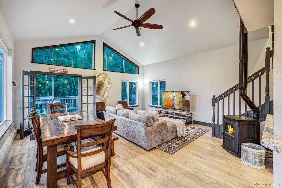 MLS Image #1 for 1095  quartzville road,alma, Colorado