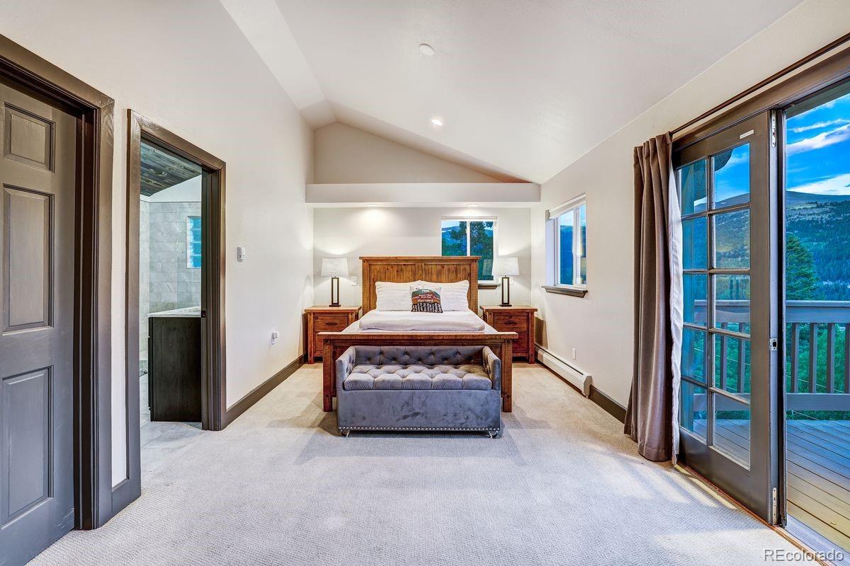 MLS Image #12 for 1095  quartzville road,alma, Colorado