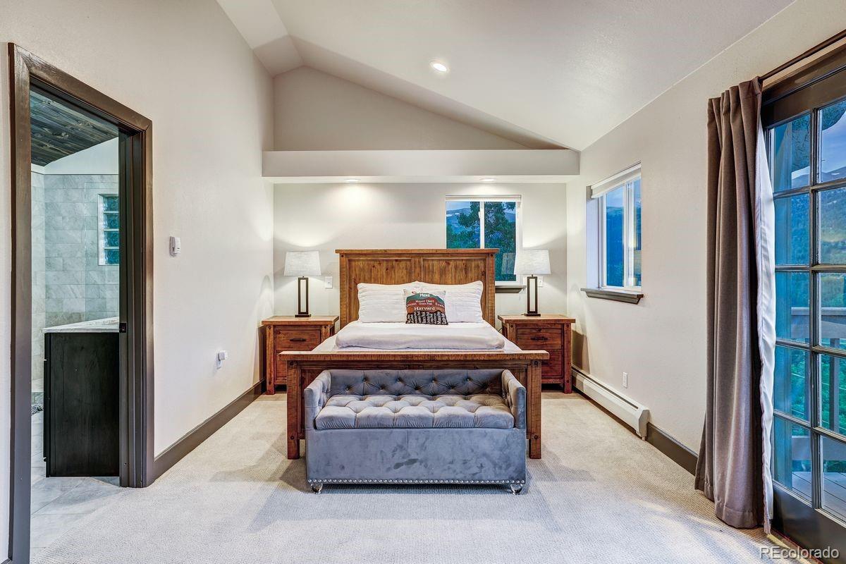 MLS Image #13 for 1095  quartzville road,alma, Colorado