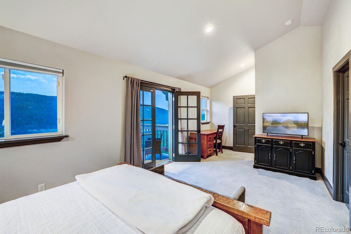 MLS Image #14 for 1095  quartzville road,alma, Colorado