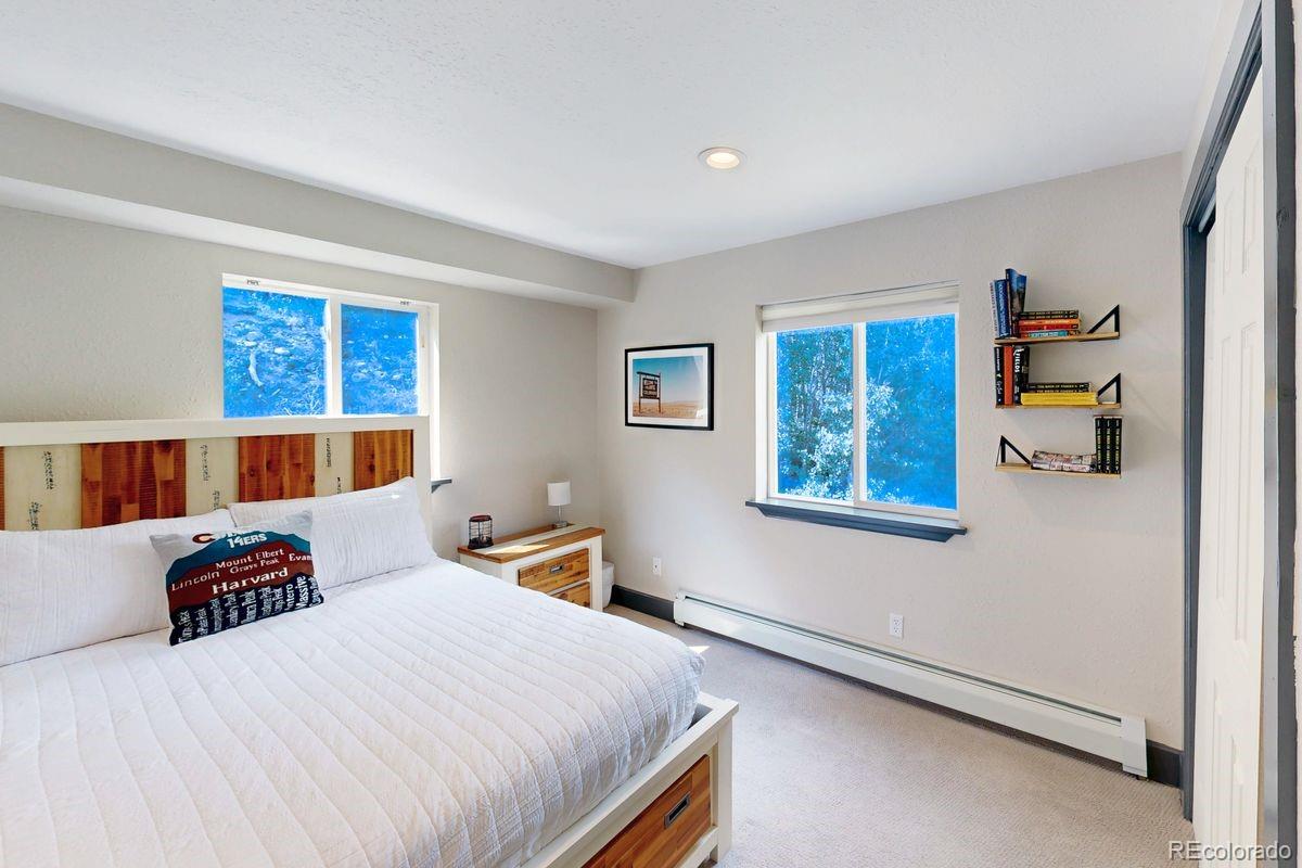 MLS Image #26 for 1095  quartzville road,alma, Colorado
