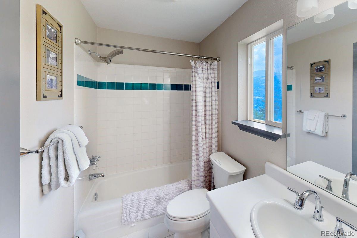 MLS Image #28 for 1095  quartzville road,alma, Colorado