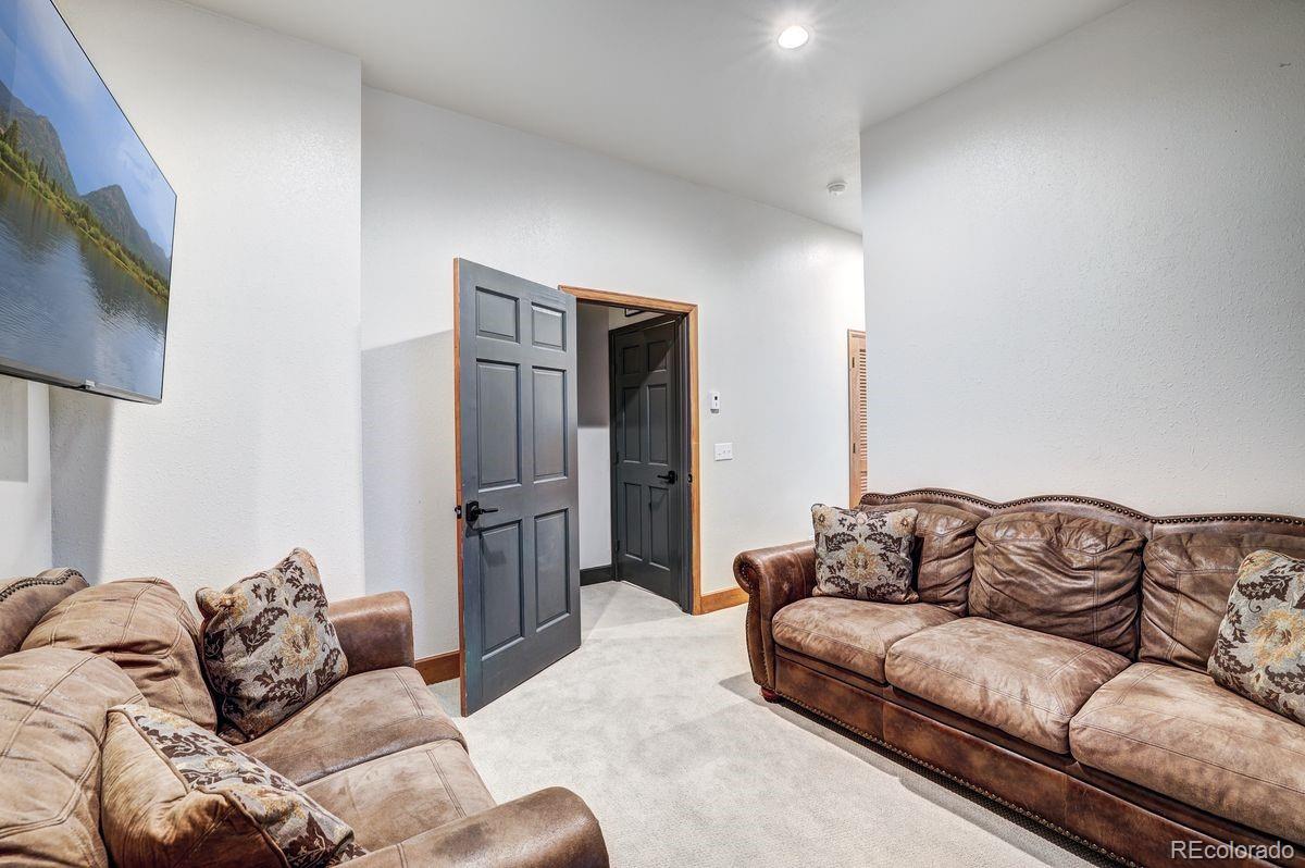 MLS Image #35 for 1095  quartzville road,alma, Colorado