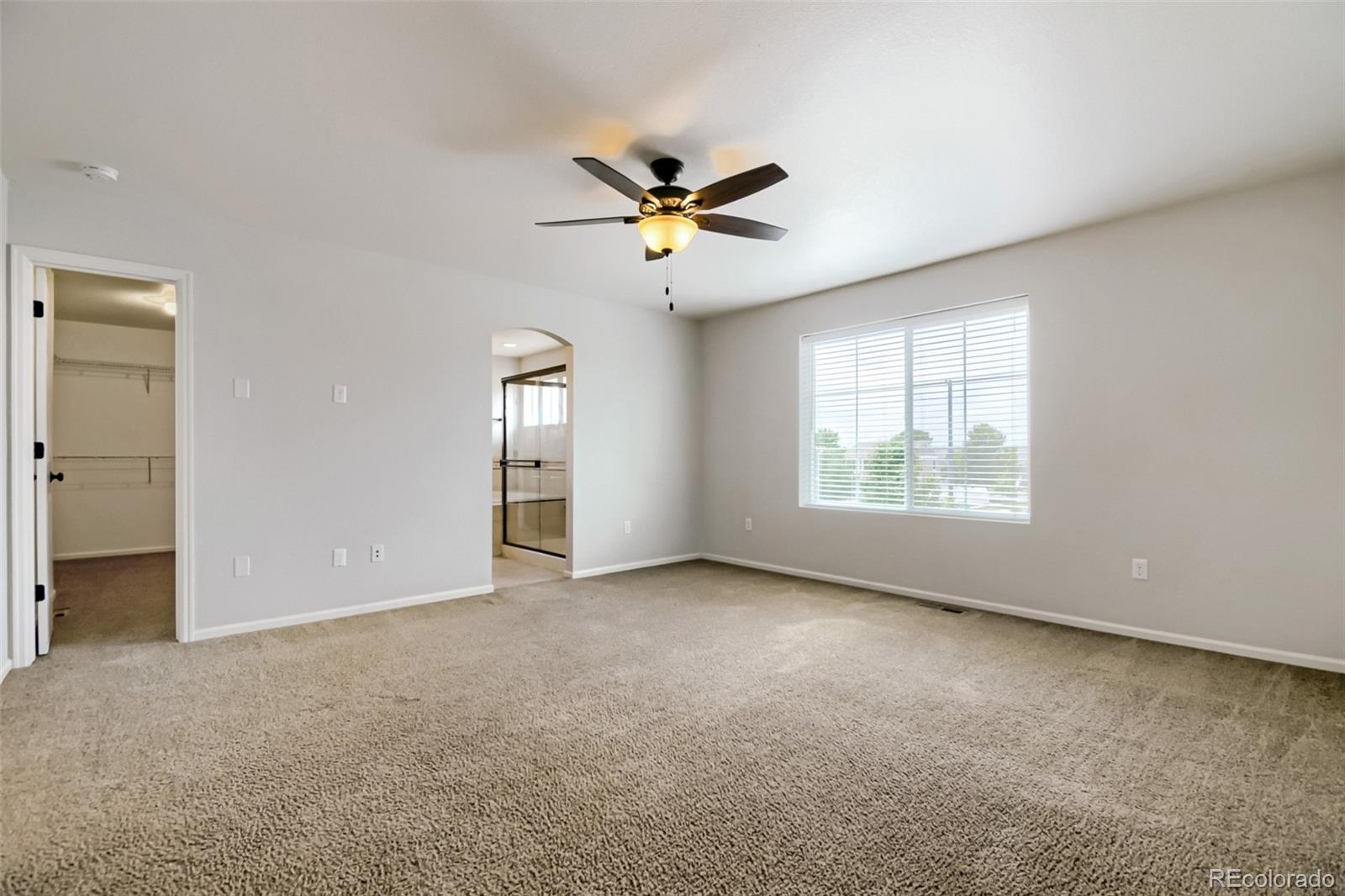 MLS Image #10 for 5560  killarney court,denver, Colorado