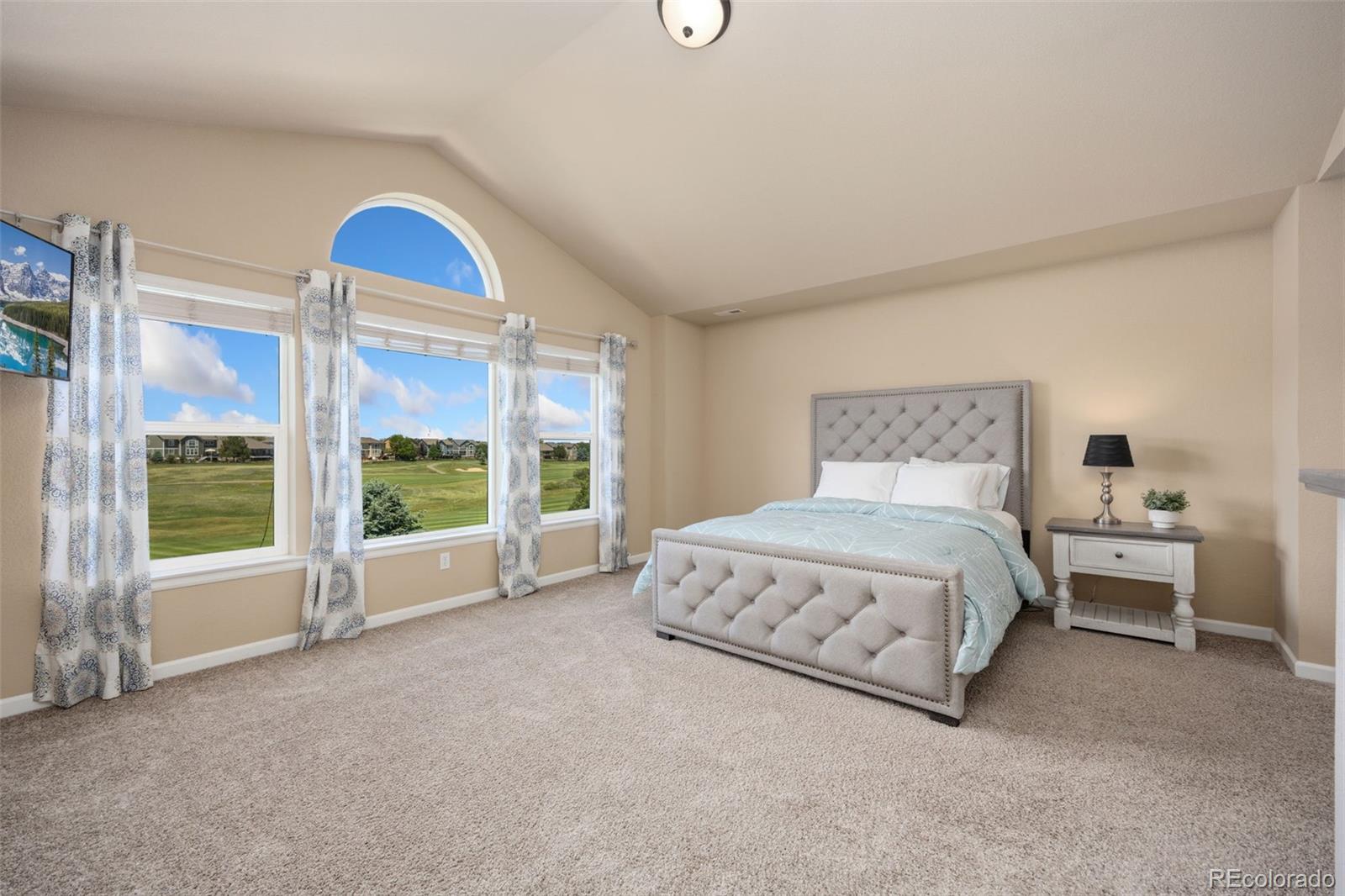 MLS Image #15 for 12095  blackwell way,parker, Colorado