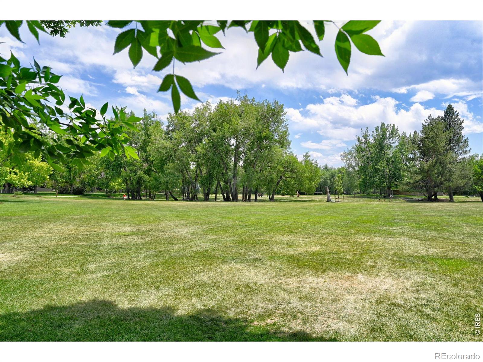 MLS Image #26 for 5902  gunbarrel avenue,boulder, Colorado