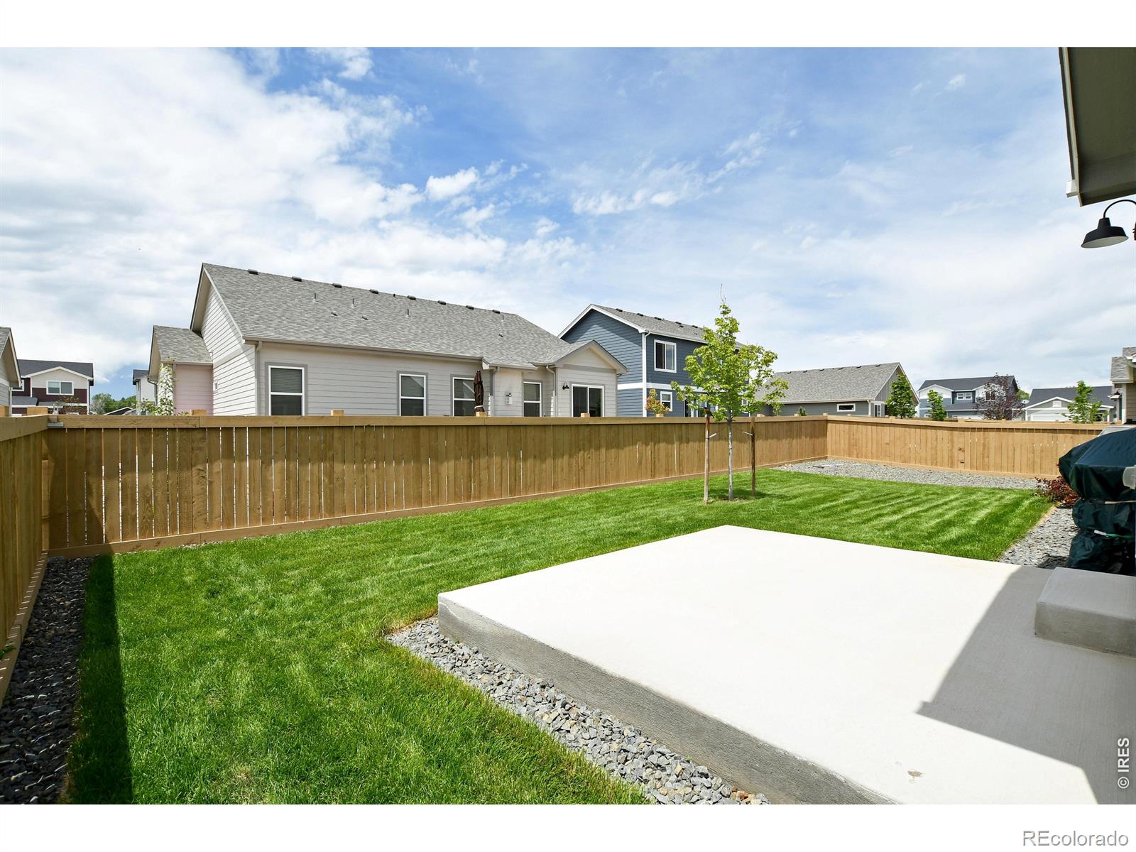 MLS Image #28 for 7157  rye grass drive,wellington, Colorado