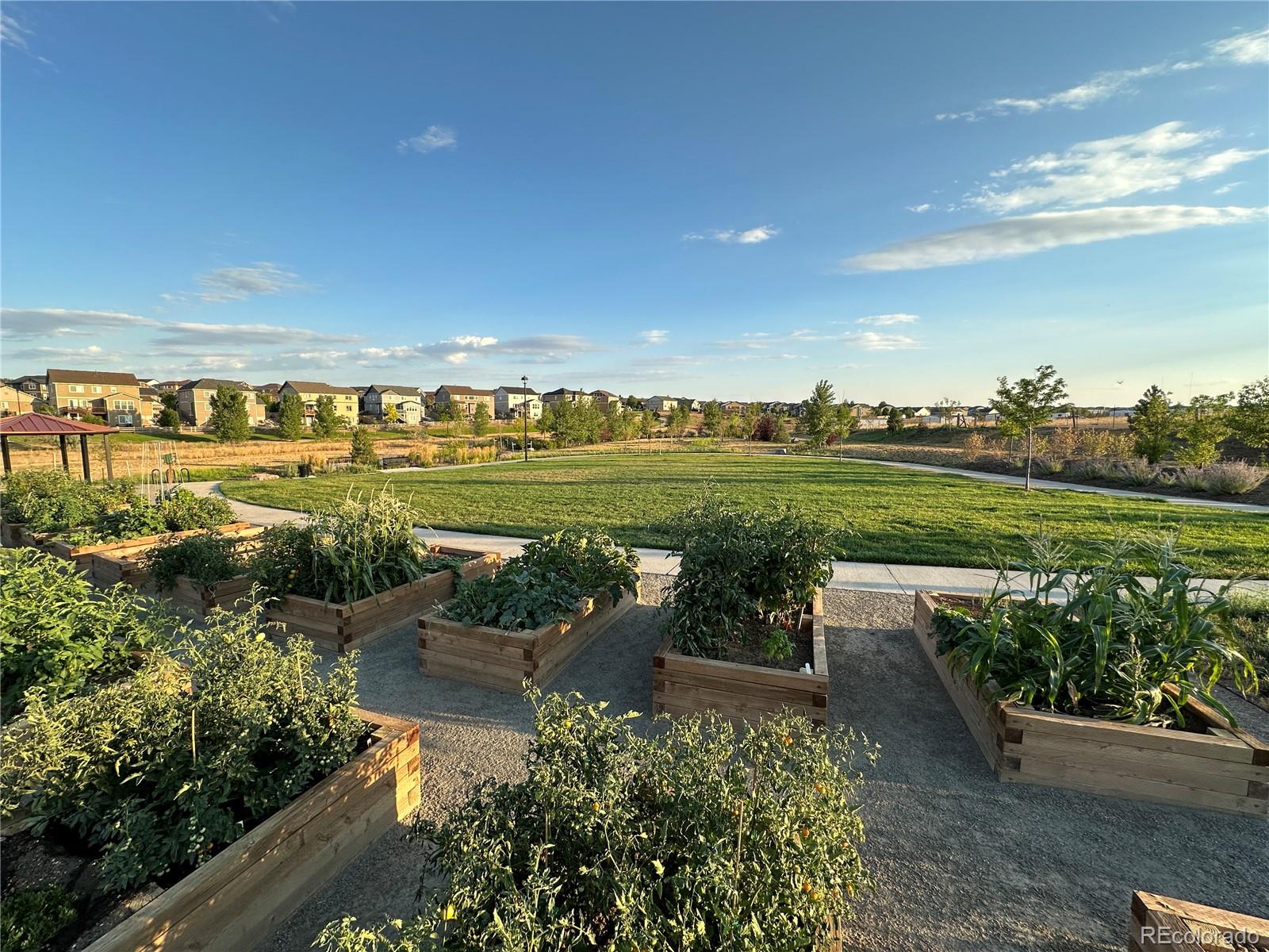 MLS Image #25 for 12759  tamarac street,thornton, Colorado