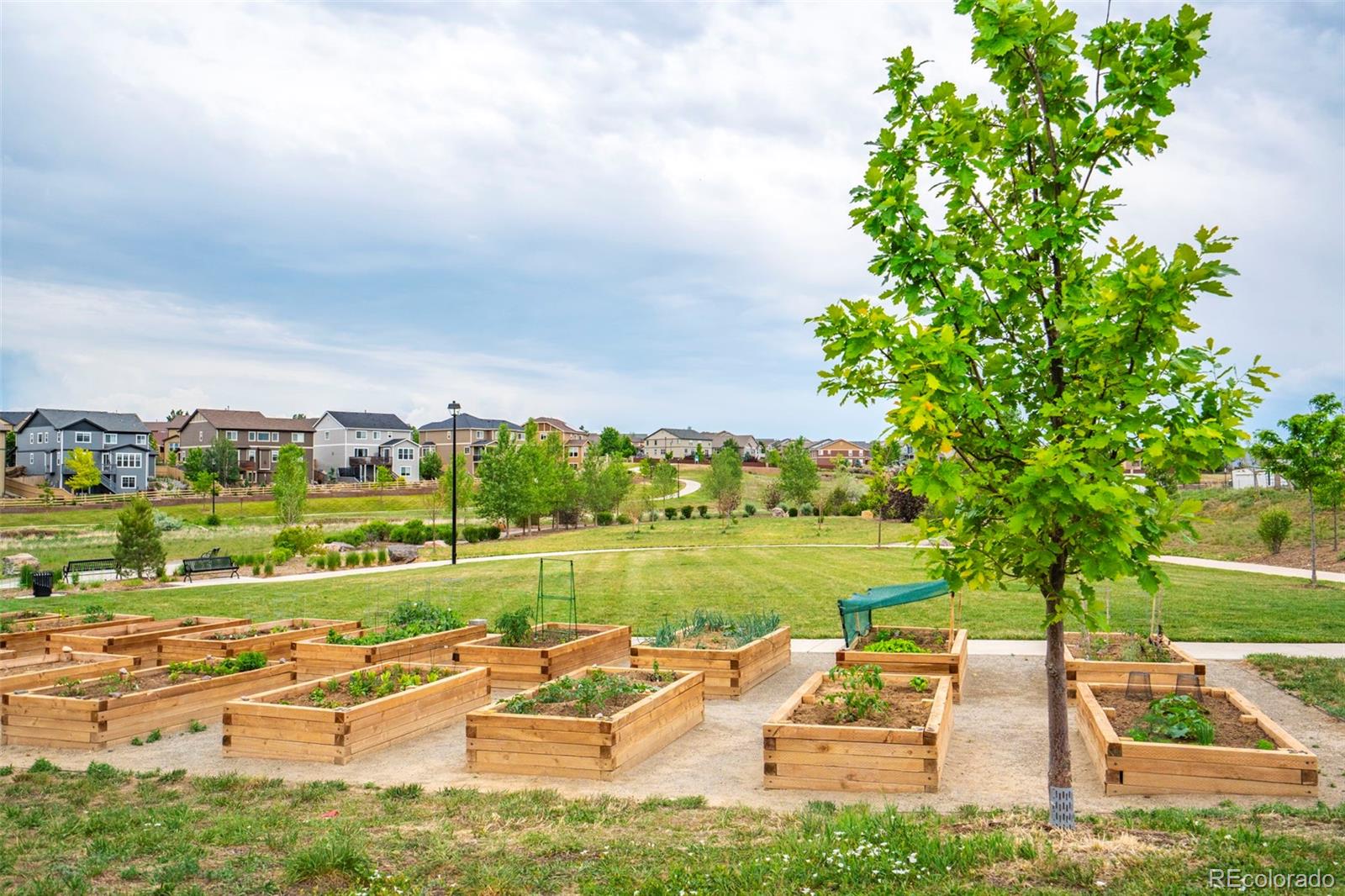 MLS Image #26 for 12759  tamarac street,thornton, Colorado