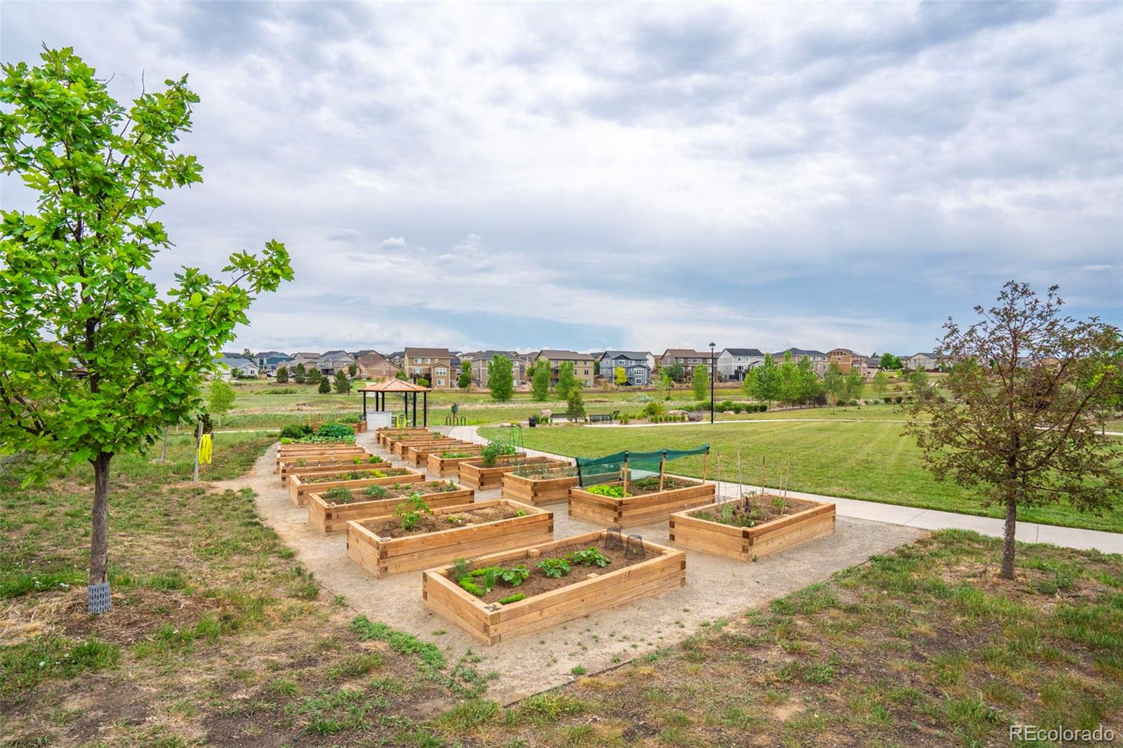 MLS Image #27 for 12759  tamarac street,thornton, Colorado
