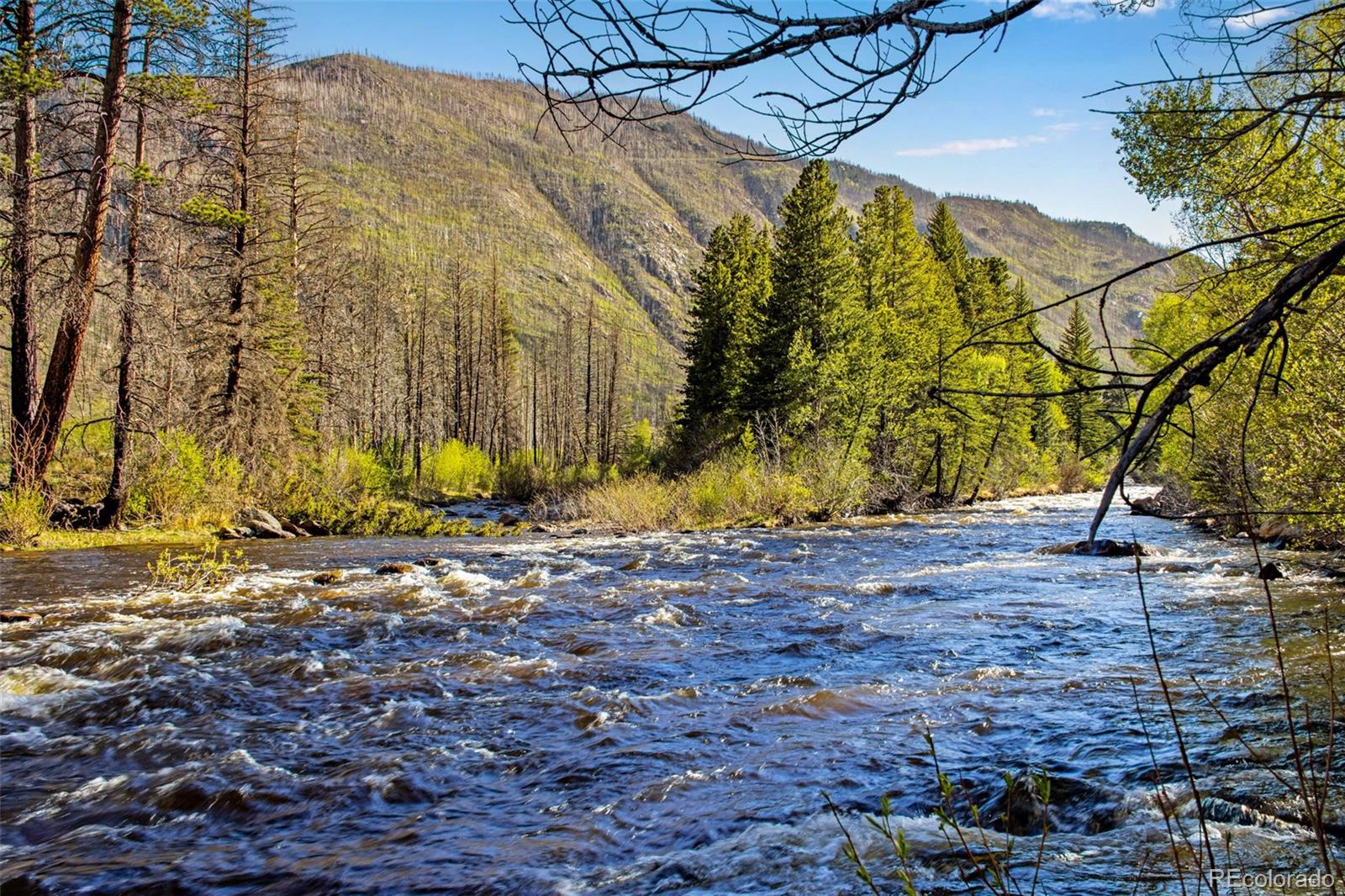 MLS Image #1 for 44174  poudre canyon road,bellvue, Colorado