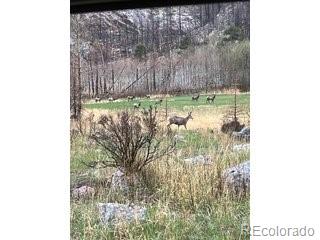 MLS Image #46 for 44174  poudre canyon road,bellvue, Colorado