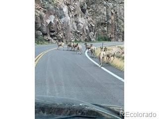 MLS Image #48 for 44174  poudre canyon road,bellvue, Colorado