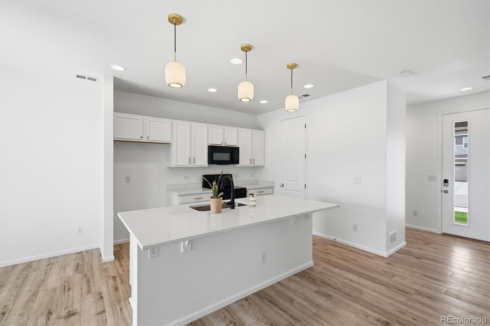 MLS Image #14 for 4504  rapport drive,castle rock, Colorado
