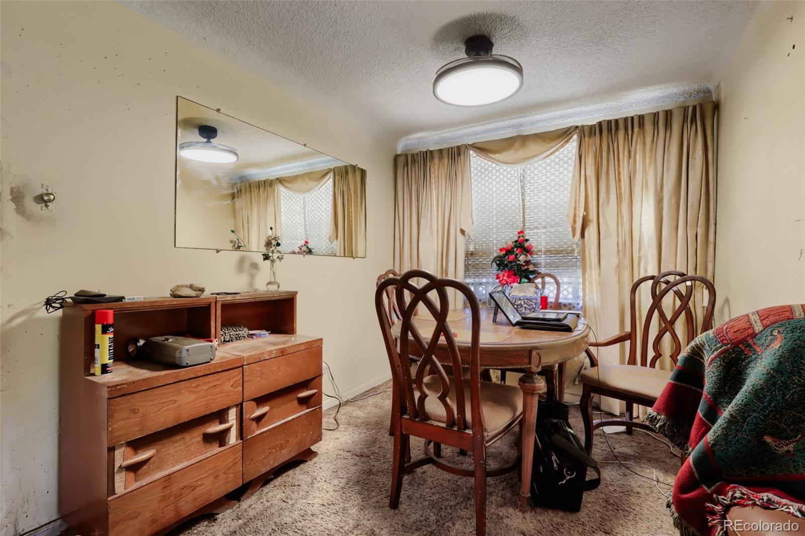 MLS Image #3 for 3058  ivanhoe street,denver, Colorado