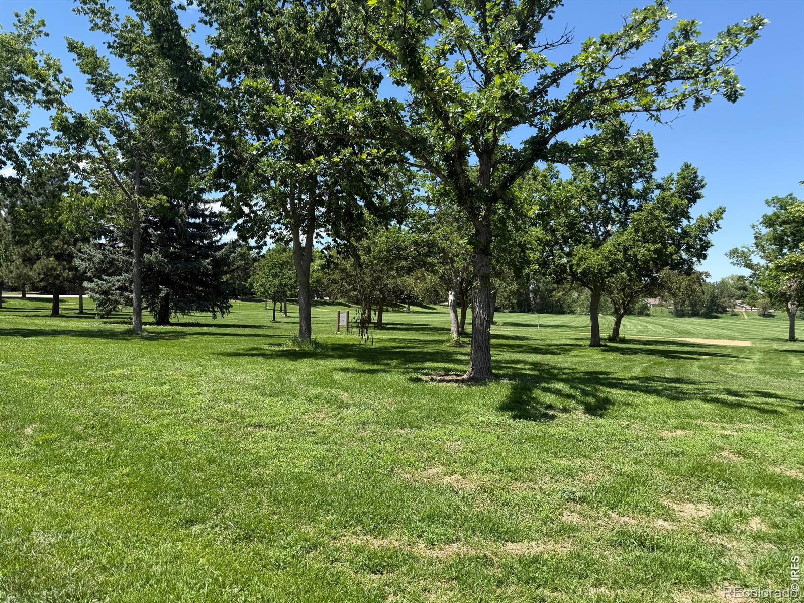 MLS Image #44 for 1702  dora street,fort collins, Colorado
