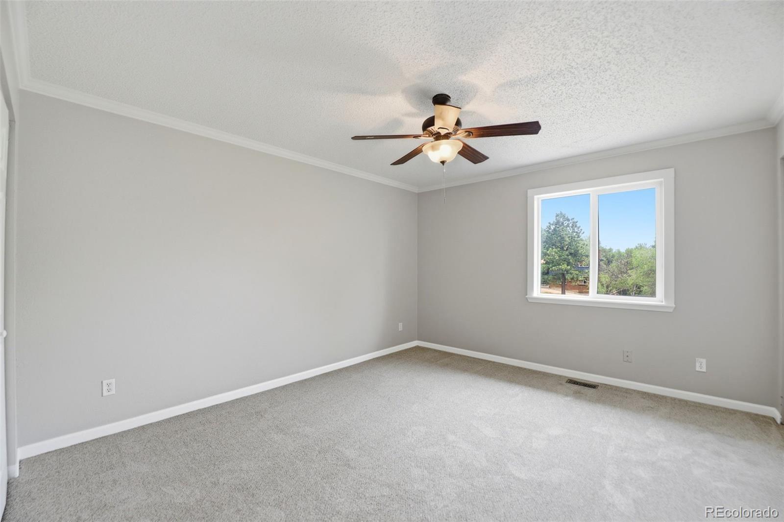 MLS Image #6 for 6755  pahokee court,colorado springs, Colorado