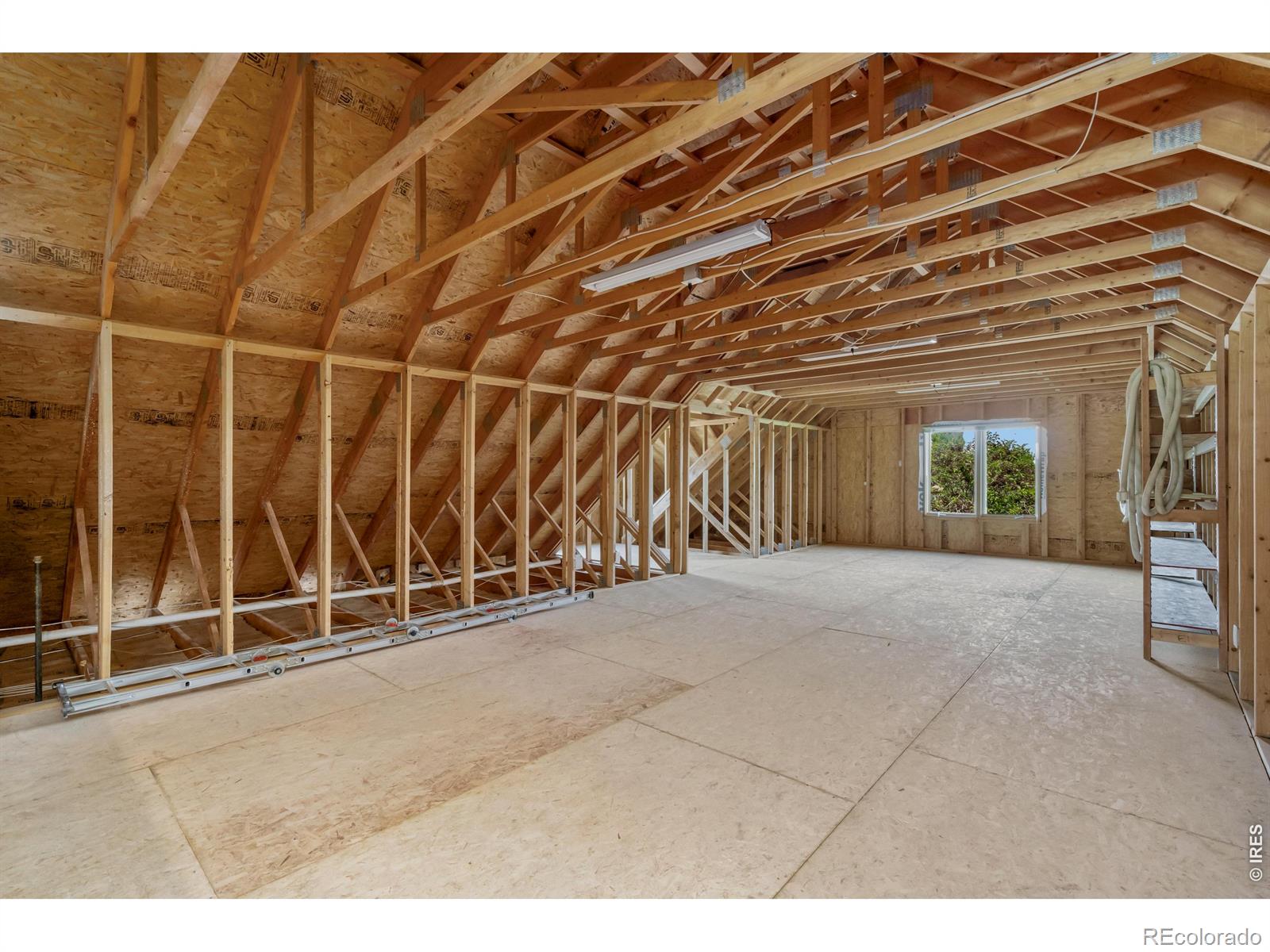 MLS Image #37 for 3701  bald eagle lane,fort collins, Colorado